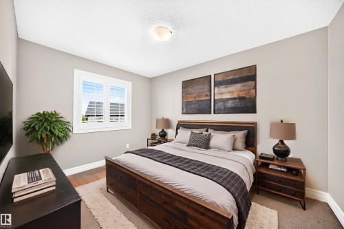 Hardwood flooring, window with white plantation shutters, neutral wall color, ceiling-mounted light fixture, and crown molding - 4212 Charles Close Sw, Edmonton, AB - Indoor Photo Showing Bedroom