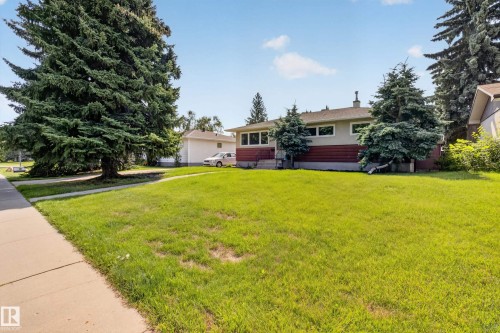 Expansive front lawn with mature evergreen trees and concrete walkway. - 16009 93A Avenue Nw, Edmonton, AB - Outdoor