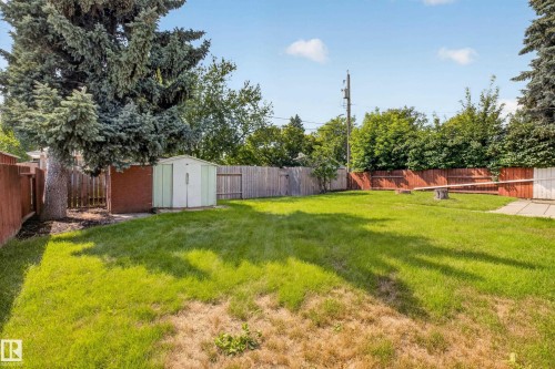 Expansive backyard featuring a large tree, wooden fence, storage shed, and concrete patio - 16009 93A Avenue Nw, Edmonton, AB - Outdoor With Backyard