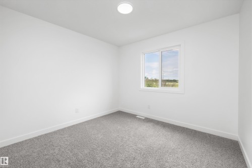 8632 183 Avenue Nw, Edmonton, AB - Indoor Photo Showing Other Room