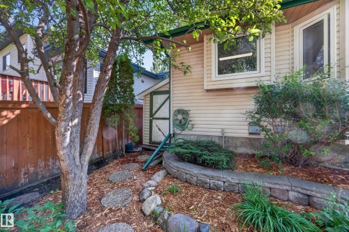 Landscaped garden bed featuring wood chip ground cover, stone retaining wall, and concrete stepping stones - 3640 31 Street Nw, Edmonton, AB - Outdoor With Exterior