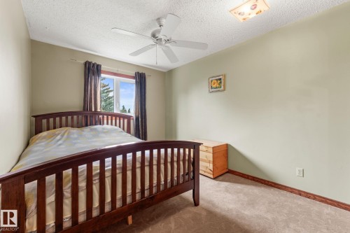 4224 33A Street Nw, Edmonton, AB - Indoor Photo Showing Bedroom