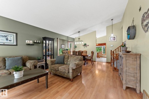4224 33A Street Nw, Edmonton, AB - Indoor Photo Showing Living Room