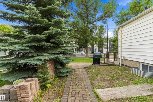 11603 St Albert Trail Nw, Edmonton, AB - Outdoor