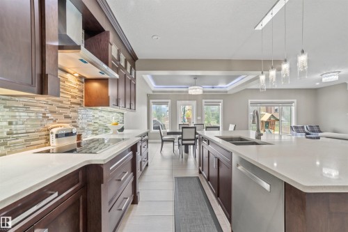 1960 Adamson Terrace Sw, Edmonton, AB - Indoor Photo Showing Kitchen With Double Sink With Upgraded Kitchen