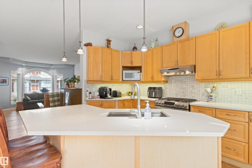 9135 100B Avenue Nw, Edmonton, AB - Indoor Photo Showing Kitchen With Double Sink With Upgraded Kitchen
