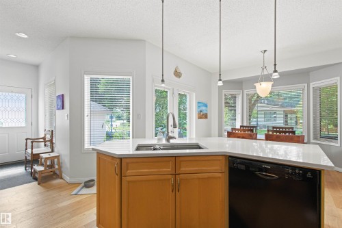 9135 100B Avenue Nw, Edmonton, AB - Indoor Photo Showing Kitchen With Double Sink