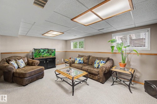 Carpeted flooring, drop ceiling with recessed lighting, two windows with blinds, and painted walls with wood trim - 193 Kiniski Crescent Nw, Edmonton, AB - Indoor Photo Showing Basement