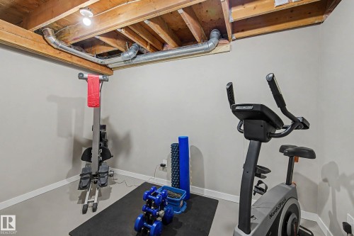 Additional content - 193 Kiniski Crescent Nw, Edmonton, AB - Indoor