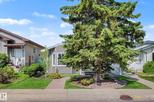 Single-story residence featuring horizontal siding, a large evergreen tree, and a paved walkway - 193 Kiniski Crescent Nw, Edmonton, AB - Outdoor