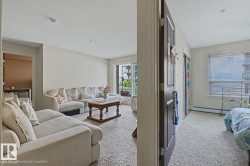 Soft, neutral wall color in the living area - 