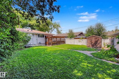 Expansive backyard featuring a lush lawn, concrete pathway, wood privacy fence, and a storage shed - 9723 76 Street Nw, Edmonton, AB - Outdoor