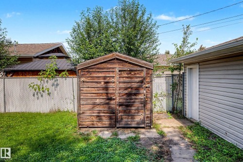Wood-sided shed, concrete path, chain-link fencing, and grassy yard area - 9723 76 Street Nw, Edmonton, AB - Outdoor
