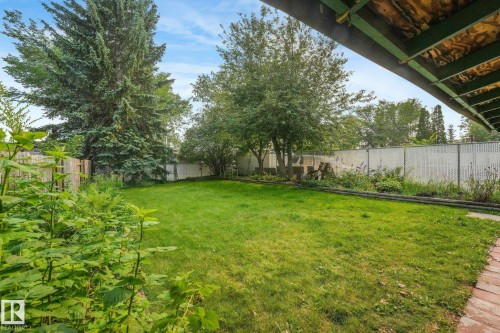 Expansive backyard featuring a manicured lawn, mature trees, and a combination of wood and chain-link fencing - 4135 134 Avenue Nw, Edmonton, AB - Outdoor