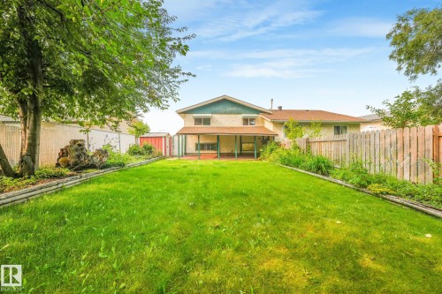 Expansive grassy backyard featuring a covered patio, wood fencing, mature trees, and a storage shed - 4135 134 Avenue Nw, Edmonton, AB - Outdoor With Deck Patio Veranda