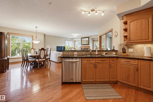 #301 9819 96A St Nw, Edmonton, AB - Indoor Photo Showing Kitchen