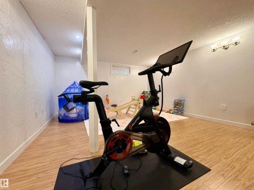 17019 108 Street Nw, Edmonton, AB - Indoor Photo Showing Gym Room