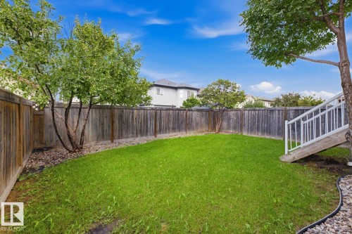 Grassed backyard with wood fencing, mature trees, and exterior stairs with white railings - 11816 168 Avenue Nw, Edmonton, AB - Outdoor