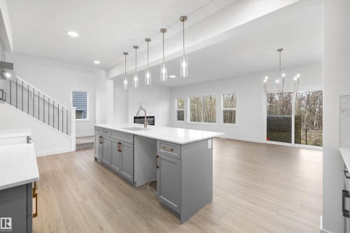 17611 7 Street Ne, Edmonton, AB - Indoor Photo Showing Kitchen With Upgraded Kitchen