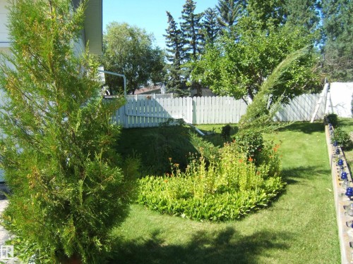 Expansive green lawn with mature perimeter trees, a white picket fence, and a garden bed featuring shrubs and flowering plants - 5404 49 Street, Two Hills, AB - Outdoor