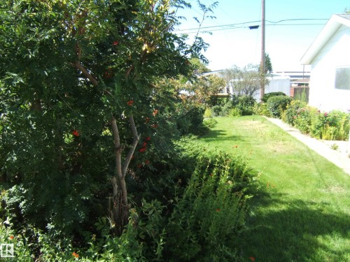 Additional content - 5404 49 Street, Two Hills, AB - Outdoor