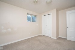 Neutral carpet flooring - 