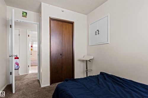 11703 38 Street Nw, Edmonton, AB - Indoor Photo Showing Bedroom