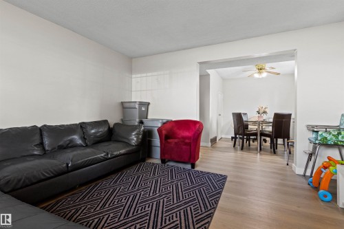 11703 38 Street Nw, Edmonton, AB - Indoor Photo Showing Living Room