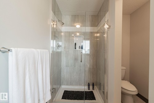 Glass-enclosed shower with a tiled interior and recessed niche - 1337 Secord Landing Nw, Edmonton, AB - Indoor Photo Showing Bathroom