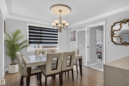 Wood-finish flooring, crown molding, double doors with frosted glass panels, and a decorative ceiling medallion with an attached chandelier - 8632 184 Street Nw, Edmonton, AB - Indoor Photo Showing Dining Room