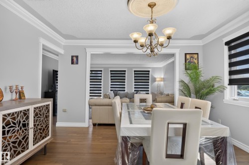 Hardwood flooring, decorative crown molding, and a chandelier with ceiling medallion - 8632 184 Street Nw, Edmonton, AB - Indoor Photo Showing Dining Room