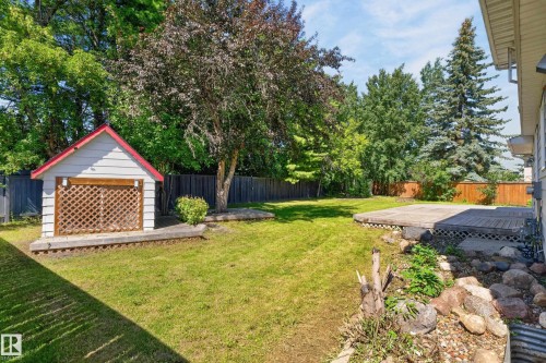 Expansive backyard featuring a detached storage shed, a wood-deck patio, and mature trees - 8632 184 Street Nw, Edmonton, AB - Outdoor