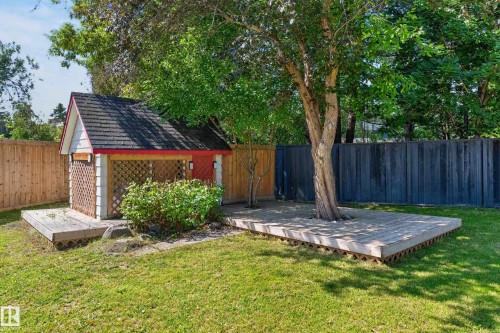 Expansive backyard featuring a manicured lawn, a wooden shed with lattice detailing, and a raised wooden deck built around a mature tree - 8632 184 Street Nw, Edmonton, AB - Outdoor