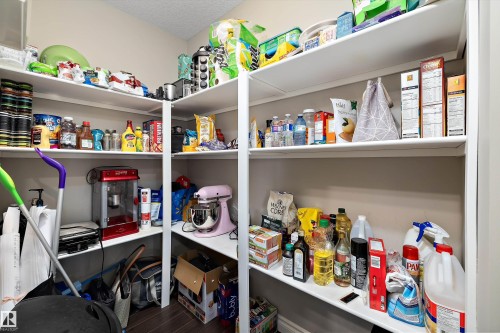 Walk-in pantry featuring extensive built-in shelving, corner storage, and wood-finish flooring - 3922 Agar Court Sw, Edmonton, AB - Indoor With Storage