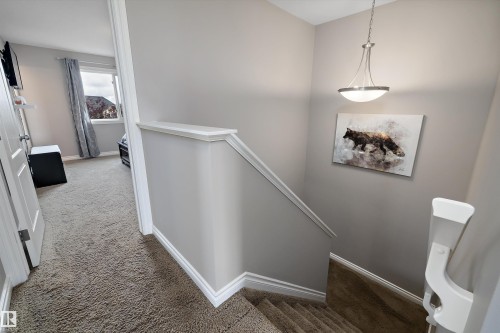 Stairwell featuring a contemporary pendant light fixture, carpeted stairs, and painted handrails - 3922 Agar Court Sw, Edmonton, AB - Indoor Photo Showing Other Room