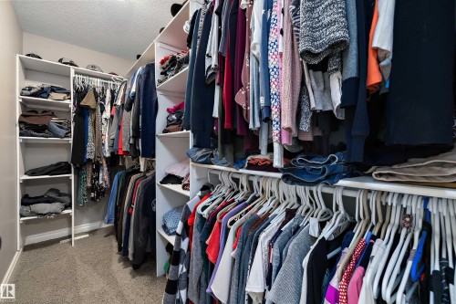 Custom closet system featuring multiple shelves and hanging rods, carpet flooring, and neutral wall paint - 3922 Agar Court Sw, Edmonton, AB - Indoor With Storage