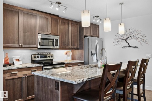 6642 Cardinal Road Sw, Edmonton, AB - Indoor Photo Showing Kitchen With Upgraded Kitchen