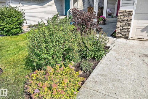 6642 Cardinal Road Sw, Edmonton, AB - Outdoor