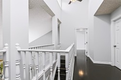 High ceilings with a ceiling fan, dark wood-finish flooring, white banister, and white paneled doors - 
