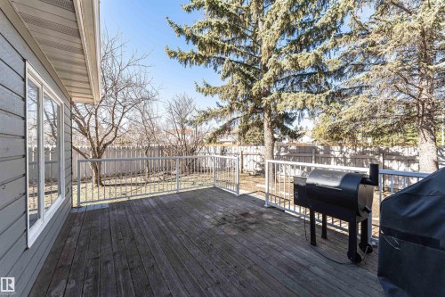 Expansive wooden deck with a white railing system, featuring a large window, and bordered by a privacy fence and mature trees - 6016 177 Street Nw, Edmonton, AB - Outdoor