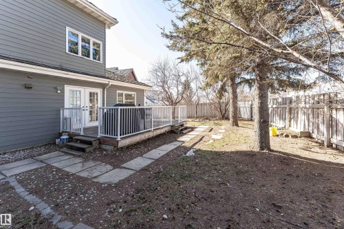 Expansive backyard featuring a wood deck with white railings, a concrete paver pathway, and mature trees - 6016 177 Street Nw, Edmonton, AB - Outdoor With Deck Patio Veranda