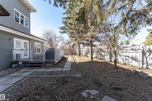 Spacious backyard featuring a wooden deck with white railings, a concrete paver pathway, mature trees, and a perimeter fence - 6016 177 Street Nw, Edmonton, AB - Outdoor