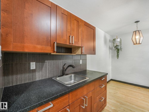 #205 10606 123 St Nw, Edmonton, AB - Indoor Photo Showing Kitchen