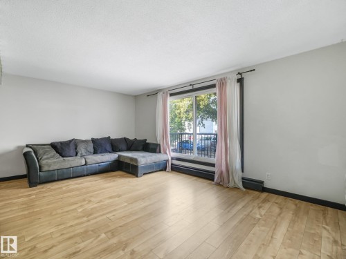 #205 10606 123 St Nw, Edmonton, AB - Indoor Photo Showing Living Room
