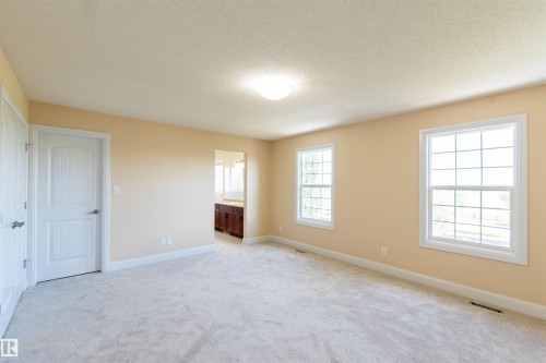 Carpeted room featuring two white-framed windows, a ceiling-mounted light fixture, and a white paneled door - 1419 Chahley Place Nw, Edmonton, AB - Indoor Photo Showing Other Room