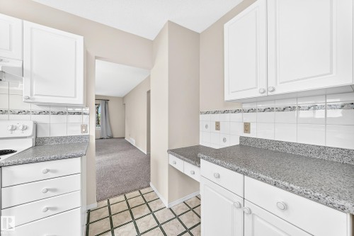 11045 125 Street Nw, Edmonton, AB - Indoor Photo Showing Kitchen