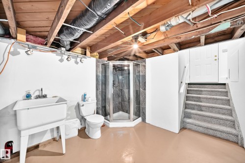 11045 125 Street Nw, Edmonton, AB - Indoor Photo Showing Basement
