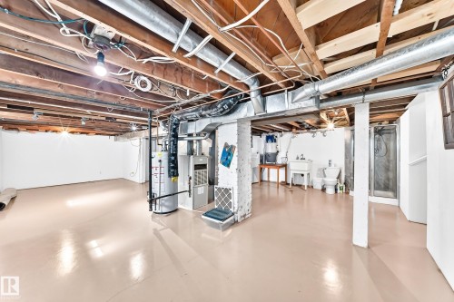 11045 125 Street Nw, Edmonton, AB - Indoor Photo Showing Basement