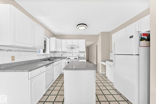 11045 125 Street Nw, Edmonton, AB - Indoor Photo Showing Kitchen With Double Sink