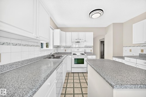 11045 125 Street Nw, Edmonton, AB - Indoor Photo Showing Kitchen With Double Sink